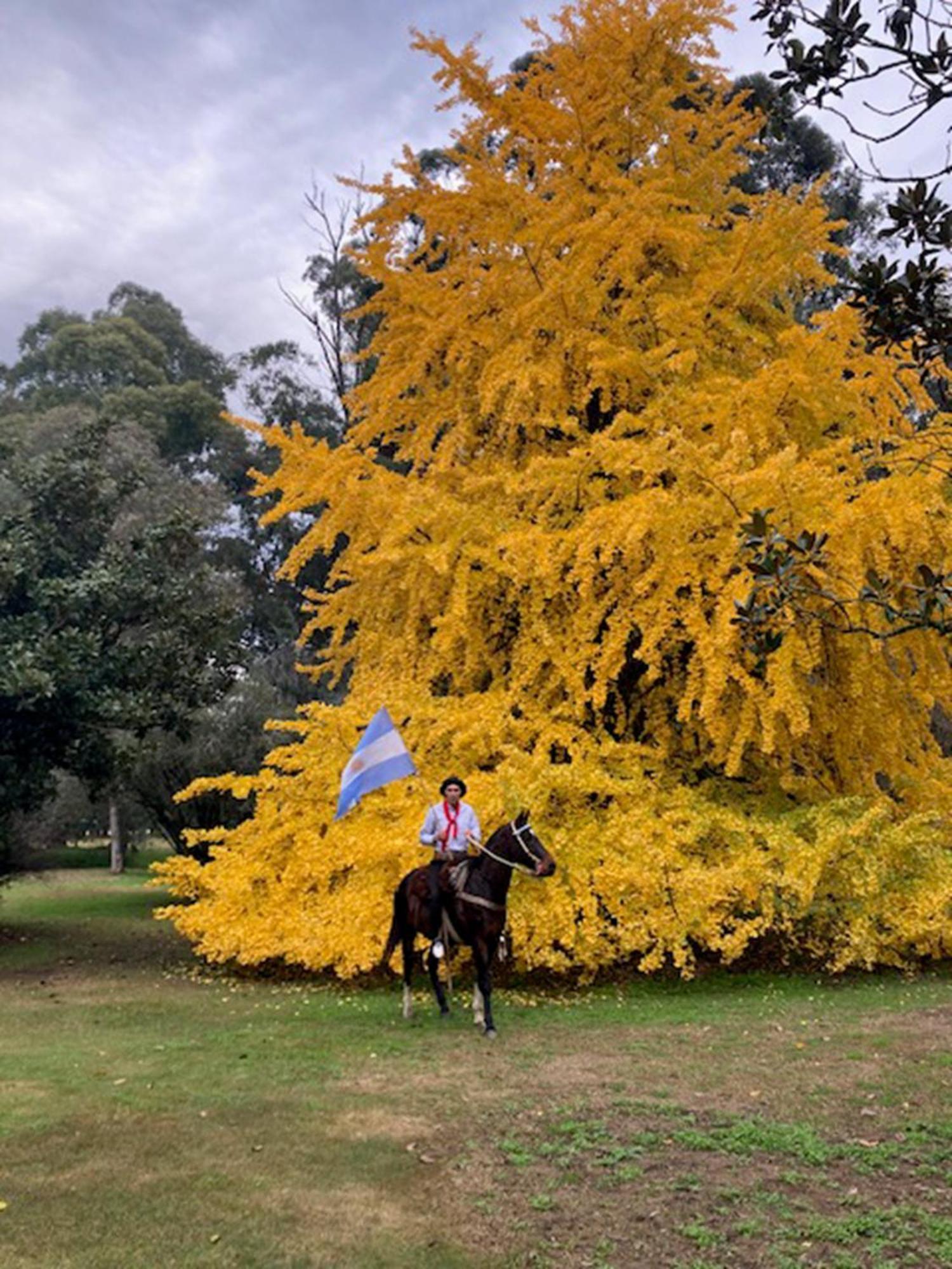 Estancia Villa Maria Ezeiza Kültér fotó